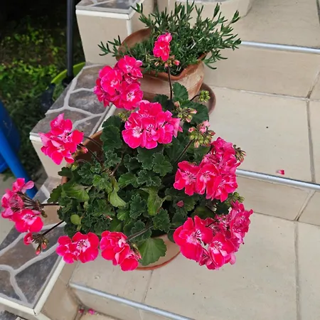 Chateaou Valon A 30 Apartament
